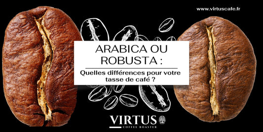 Arabica ou Robusta : quelles différences pour votre tasse de café ? - Virtus Café