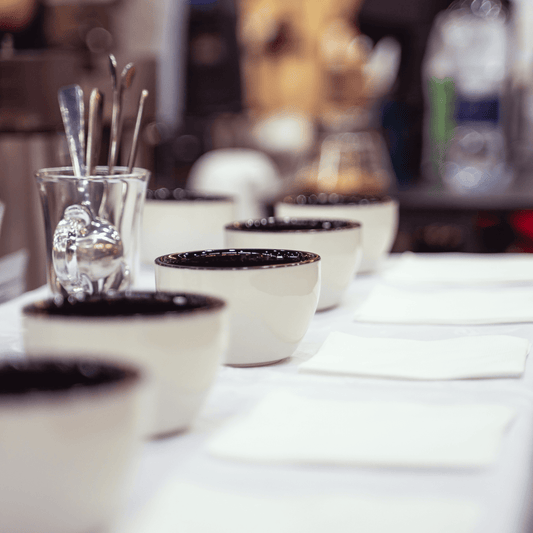 Notes de dégustation du café : Le guide complet pour les identifier - Virtus Café