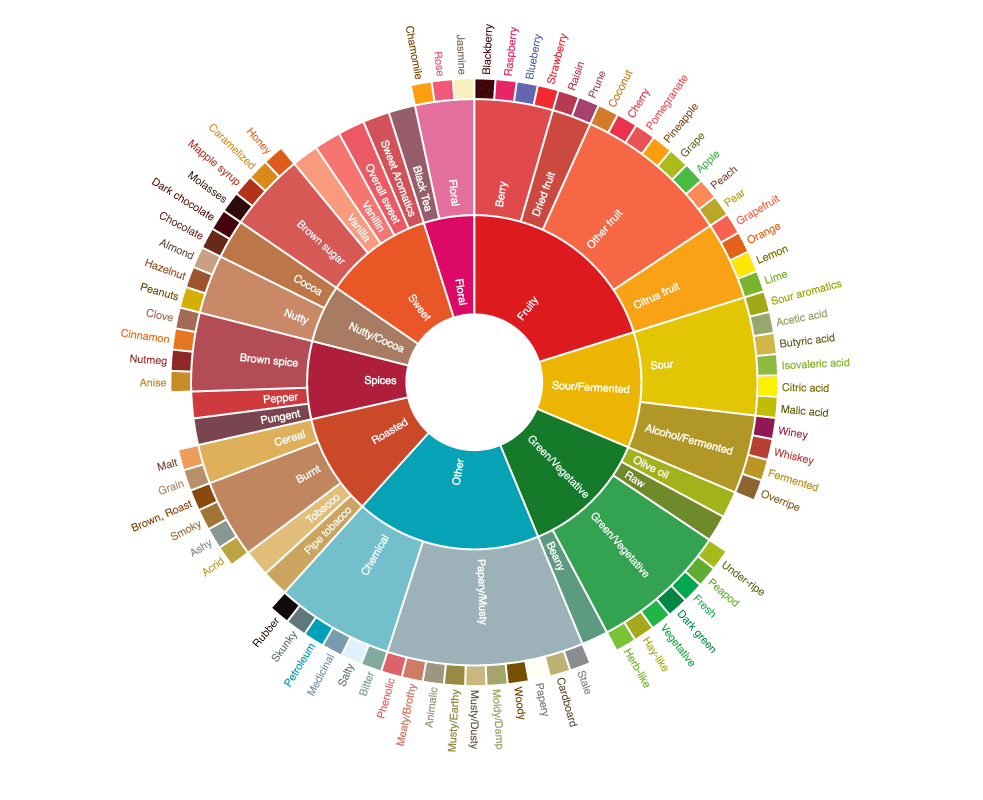 Quels sont les arômes du café et comment les identifier ? Le guide du dégustateur - Virtus Café