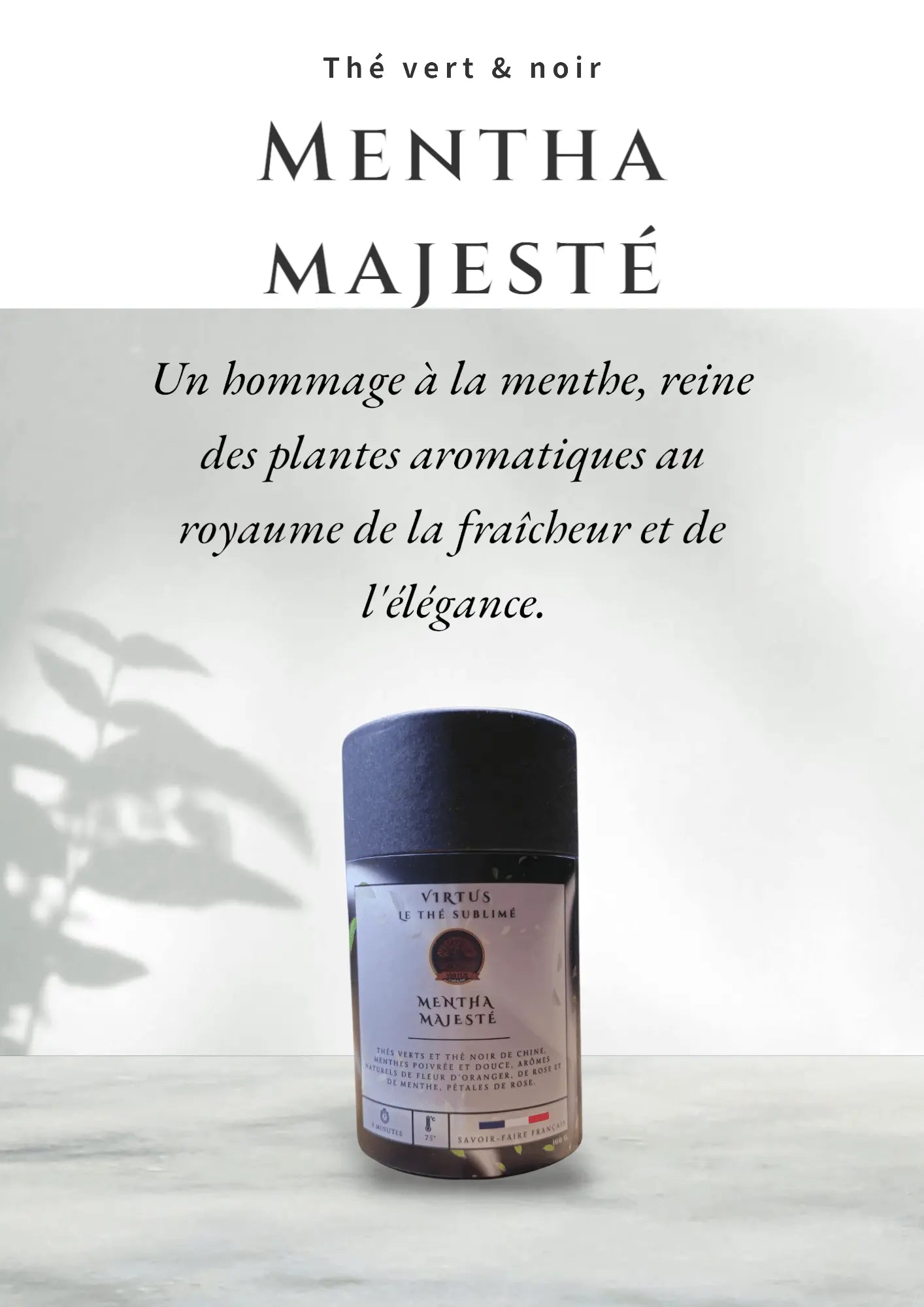 - Mentha Majesté - Virtus Café & Thé