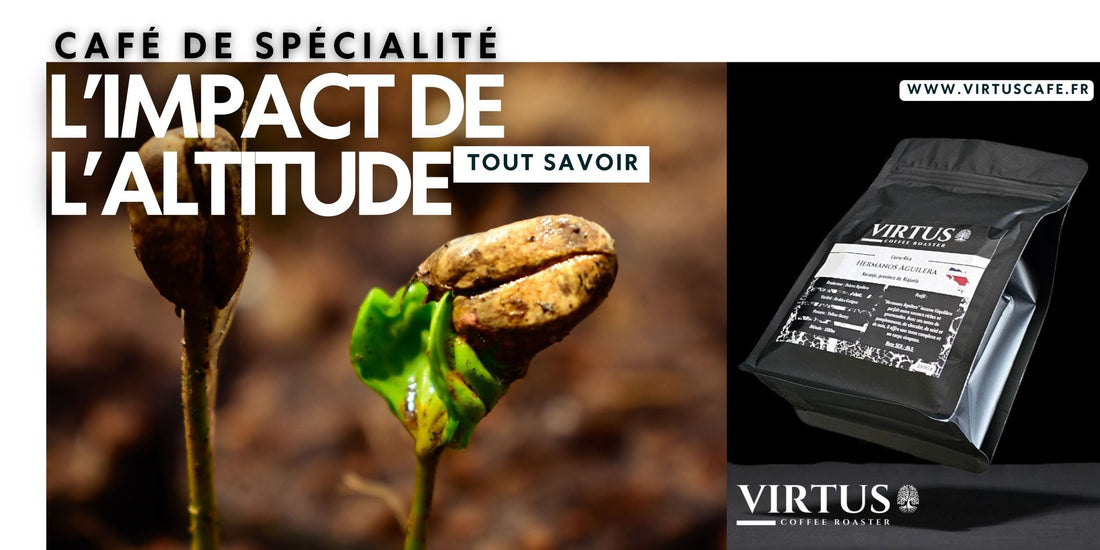 Les effets de l'altitude sur le café et sur son goût. - Virtus Café