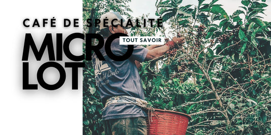 Micro-Lot de café : Trésor de producteur ou argument marketing ? - Virtus Café