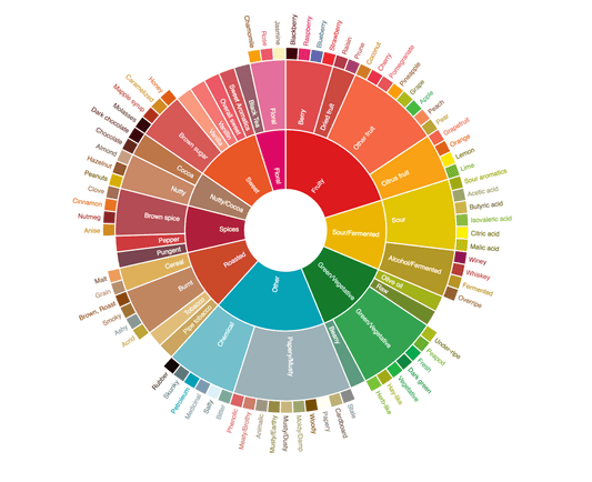 Quels sont les arômes du café et comment les identifier ? Le guide du dégustateur - Virtus Café
