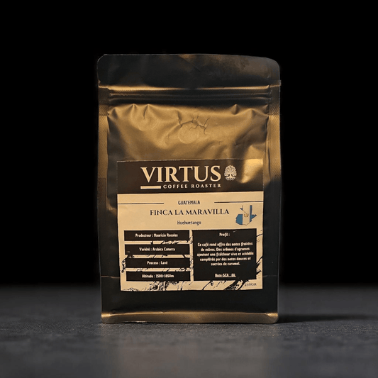  - Guatemala | Finca La Maravilla | Café de spécialité | Note SCA 86 | Café rond aux notes de mûres, d'agrumes et de caramel - Virtus Café